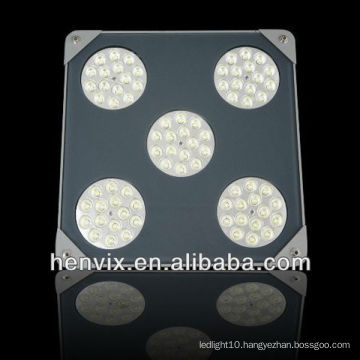 explosion proof canopy lights led